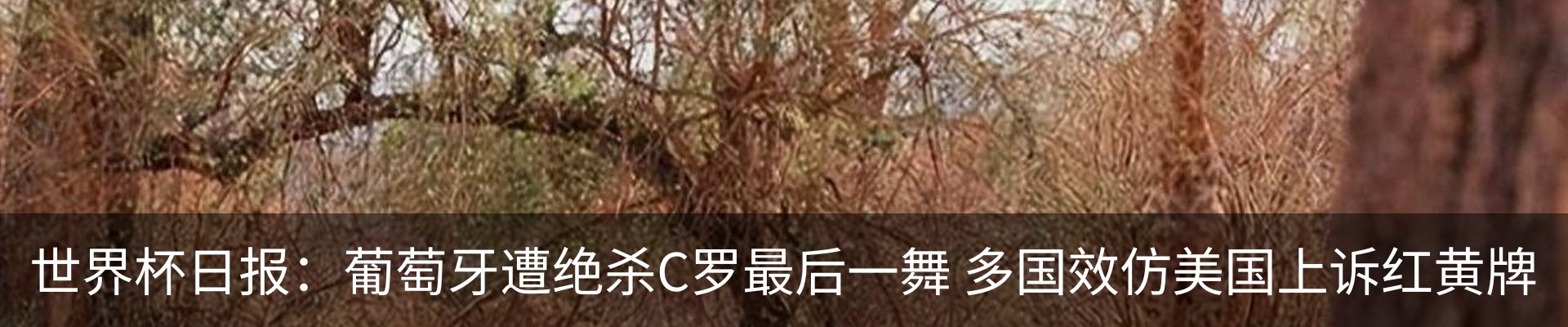 内页banner