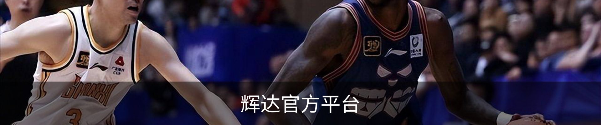 辉达官方平台