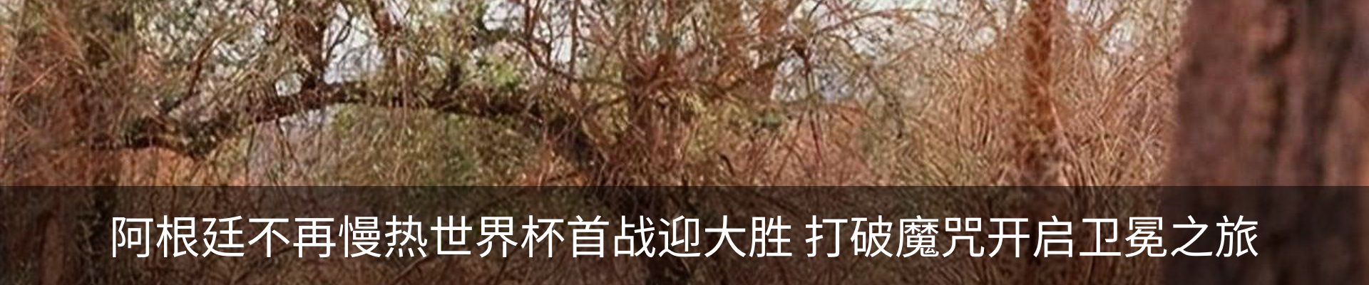 内页banner